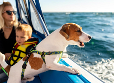 Auf dem Boot mit dem Hund